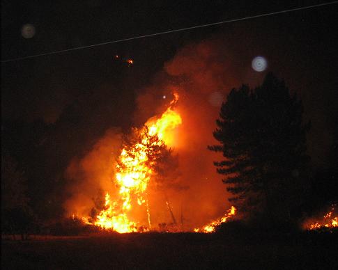 L'incendio in località massa - 22 agosto